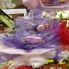 images/2025_csokicsokrok/20250422_133807.jpeg